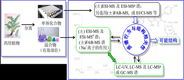 4-1-正文-web.jpg