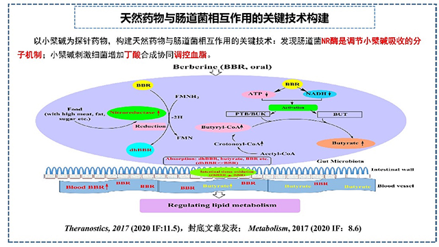 5web_正文.png